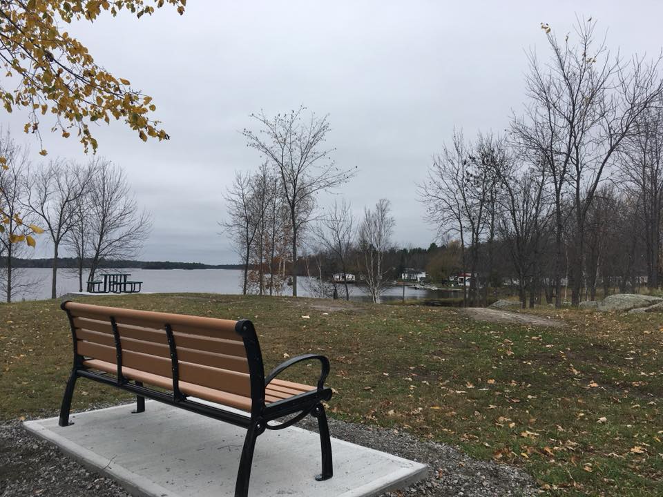 Banc au parc riverain l'automne Bench at the Waterfront Park in the Fall